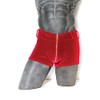Coquette Men's Boxer Brief Red OS