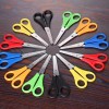 X School Scissors 24 Pieces Stainless Economical Quality Xnm