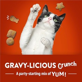 Purina Friskies Party Mix Gravy-Licious Crunch Chicken and Gravy Flavors Cat Treats - 30 oz Canister