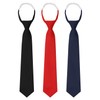 Luckyvestir Womens Ties Set Pre-tied Adjustable Womens Ties 2.75" Skinny