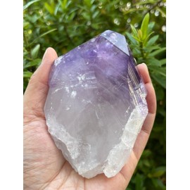 GAF TREASURES Extra Large Amethyst Point, Natural Amethyst Point, Raw Amethyst Point Healing Crystals (8-10 oz)