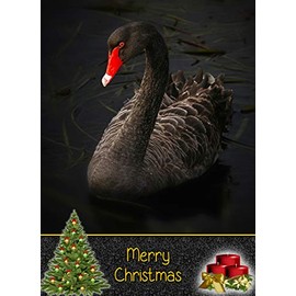 Swan Christmas Card 'Merry Christmas' - Special Xmas Card for Him Her Kids Male Female