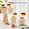AhfuLife 200 Pcs German Flag Germany Toothpick Flags, Germany Flag