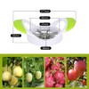 ANSIEDIO Apple Slicer Corer Fruit Cutter, Stainless Steel Slicer for