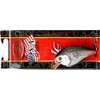 Lucky Craft FAT CB BDS2 ~Big Daddy Strike~ (419 BP