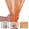 Glitter String Curtain Panel 200x90cm – Sparkling Tassel Fly Screen,
