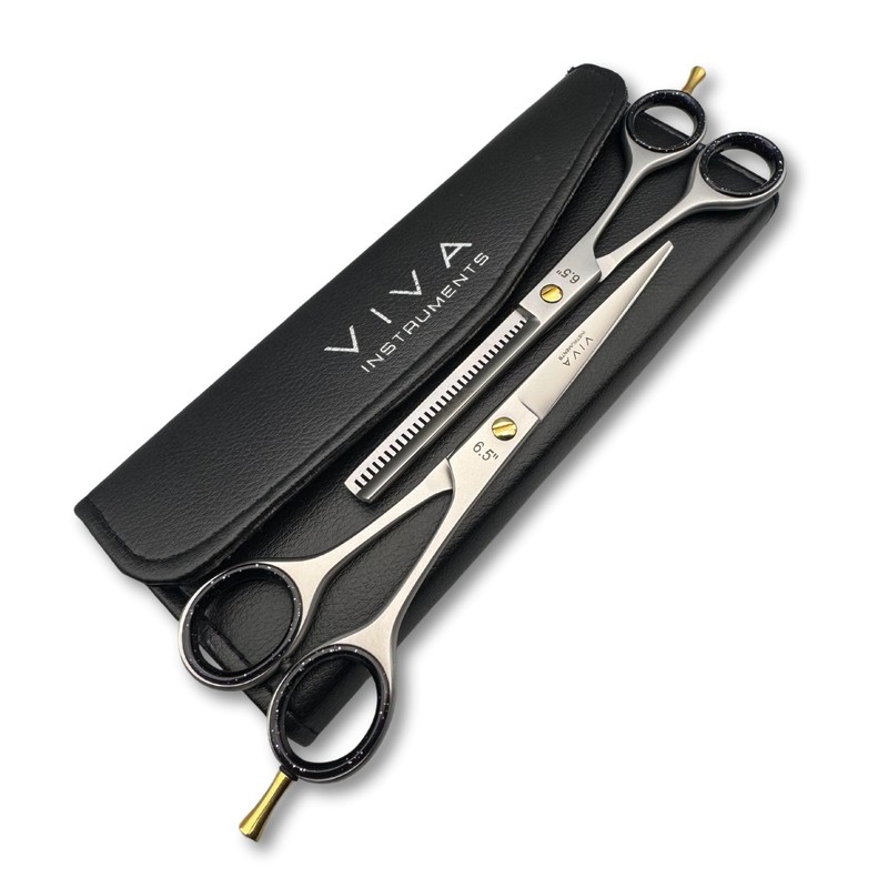 Professional 6.5 Inch Hair Scissors & Thinning Shears Texturing Set