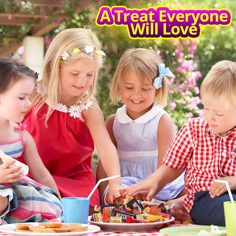 Assorted Chocolate Candy Variety Pack - 5 Lb Bulk Candies