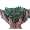 Neem Leaves (5 oz) Whole - Dried Slow Under Shade,