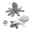 ROOKCRAN 066958 Cat Toy, Loop, Cat Frendie, Momonga, Indoor Use,
