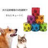 Edostree ペットフレックス 粘着包帯 自着性伸縮包帯 弾力包帯 バンテージ ペット 犬 猫 伸縮