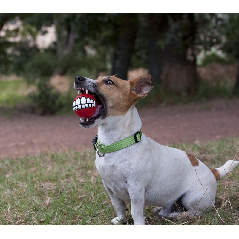 Rogz Grinz Ball, Large, 7.8 cm, Red