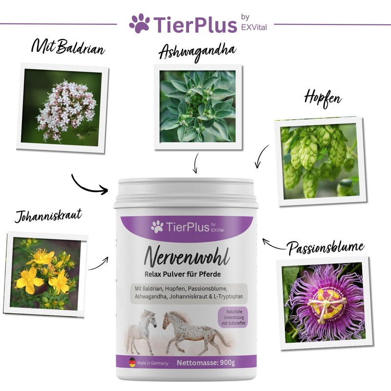 TierPlus TierPlus Nervenwohl Relax Pulver f1r Pferde, mit Mit Baldrian,