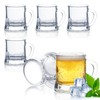ZYFLSIYU 6 Pack 2 oz Mini Beer Mug Shot Glasses