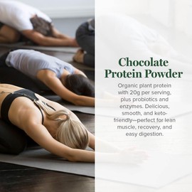 Global Healing Organic Plant Chocolate Protein Powder for Men and Women 20g - Dairy Free Protein Powder with Digestive Enzymes & Probiotics to Support Gut Health (1.6 Lbs)