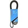 MAPCO V-Ribbed Belts (262373)