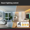 Paulmann 29162 Filament 230V Smart Home Zigbee LED Globe G125
