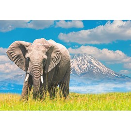 Ravensburger Puzzle 13320 African Elephant Puzzle 300 Pieces for Adults and Children from 14 Years
