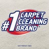 Resolve High Traffic Carpet Foam, 88 oz (4 Cans x
