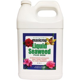 Maxicrop Liquid Seaweed Plus Iron, 1 gal