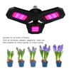 Plant Grow Light Foldable 80W Red Blue Spectrum LED Plant