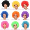 Hatstar Curly Afro Clown Wig for Carnival and Fancy Dress