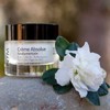 nym/Cream Absolue Fundamental 4% Highly Concentrated Treatment 50ml / 님(nym)/크림