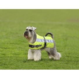 Petlife Flectalon Hi-Vis Dog Jacket Complete with Thermal Lining, 20-inch, Fluorescent Yellow