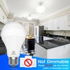 ENERGETIC SMARTER LIGHTING Super Bright 50/100/150W 3-Way A21 LED Light