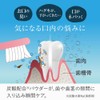 sd11114617 Oral Care, Breath Prevention, Bad Breath Care, Toothpaste Powder,