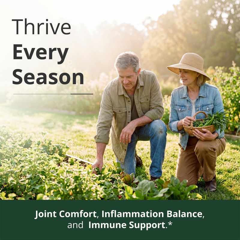 Quercetin w/ Bromelain Turmeric Curcumin Supplement – Triple Action: Allergy