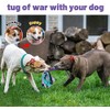 Juguete de tirón para perros (morado)