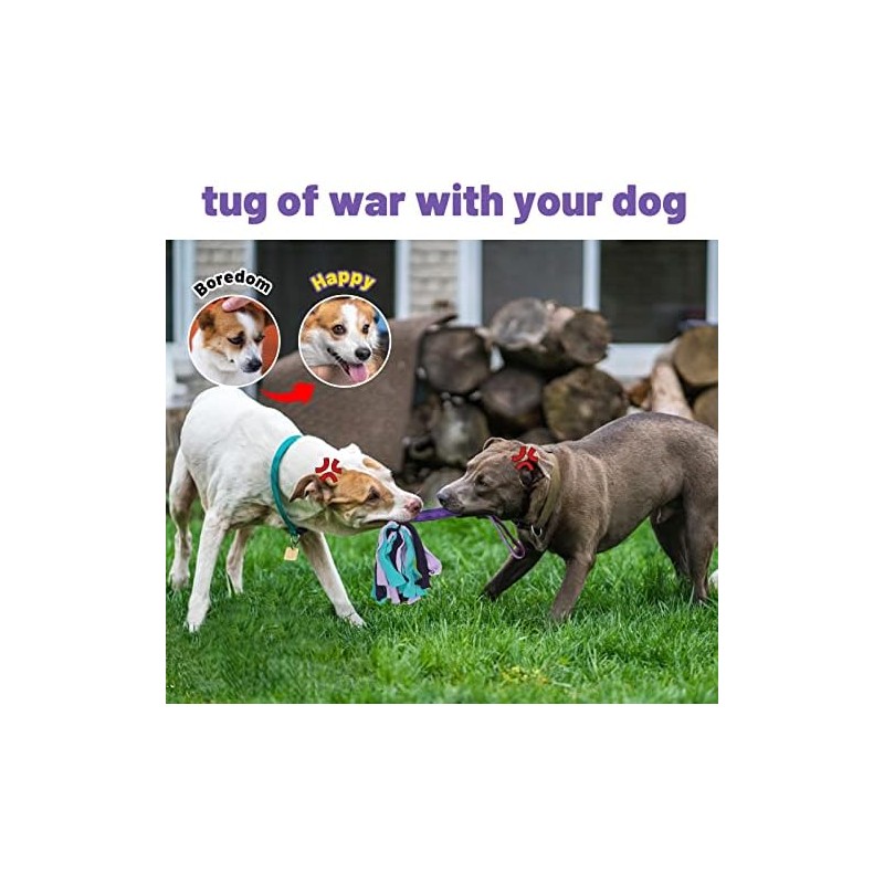 Juguete de tirón para perros (morado)