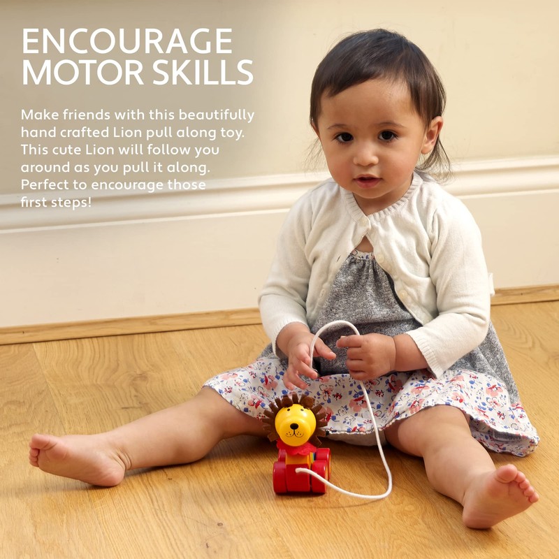 Lion Pull Along Toy - Animal Push and Pull Along