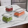 iDesign Small and Large Fridge Produce Bins with Removable Drainage