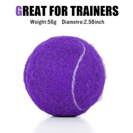 MRYCZ FYRHD 24 Pack Tennis Balls, Training Tennis Balls, Pet Dog Playing Balls, Practice Tennis Balls with Mesh Bag for Transport and Beginner Training