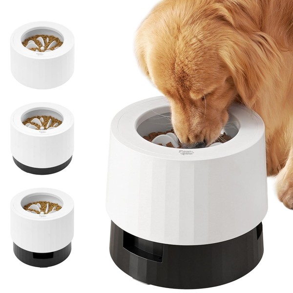 Pawque Elevated 60oz Slow Feeder Dog Bowls Large Breed, Single
