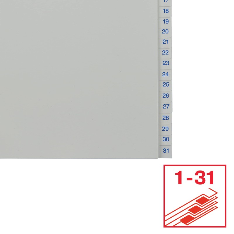 Leitz Esselte Index for A4, 31 Dividers, Tabs with Numbers