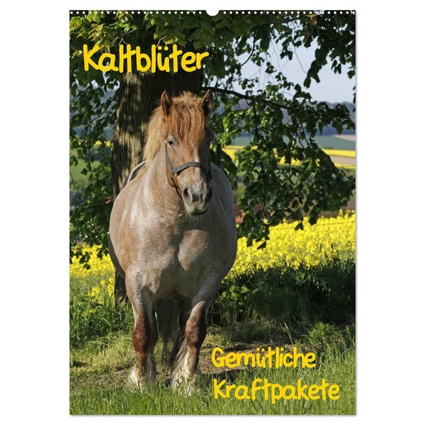 Kaltblüter (Wall Calendar 2026 DIN A2 High), CALVENDO Monthly Calendar: