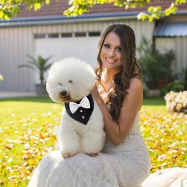 Dog Cat Tuxedo and Bandana, Formal Dog Wedding Bandana Collar with Bow Tie, Adjustable Dog Formal Outfit Pet Suit for Small Medium Dogs Cats Pets(Black/White, X-Large)