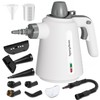 Spurgehom Handheld Steam Cleaner, Portable Steamer with 11 PCS Accessory