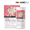 NaturalPlus 내츄럴플러스 에버핏 편안해질 유산균 3병(3개월분) / 50억보장 신바이오틱스 아연