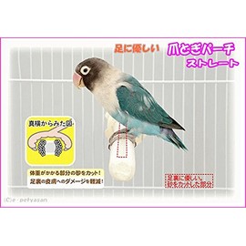 [Triple 晃 Company] bird for sandopa-ti Foot Friendly Nail Nobody Perch Straight