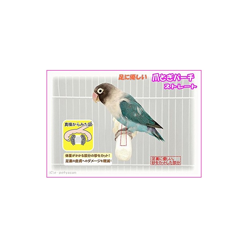 [Triple 晃 Company] bird for sandopa-ti Foot Friendly Nail Nobody