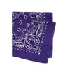 Rothco Trainmen Paisley Bandana – Multipurpose Outdoor Utility Survival Headwrap,