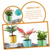 Kisangel Lazy Self Watering Flower Pots 3 Pack Round Glass-Like