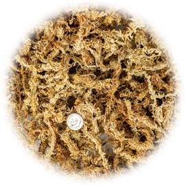 Premium Grade Sphagnum Moss by Gardenera - Organic Hand Mixed New Zealand Long Fibered Sphagnum Moss Orchid - 1 Quart