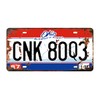 Panguru 2 Pieces Prop License Plates from Supernatural, Metal Stamped