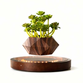 CENTRALEV Magnetic Levitating Plant Pot with LED Light, 360° Rotating Floating Planter for Succulents, Unique Gift for Christmas, Valentine Birthday Holiday, Modern Home Office Desk Decor