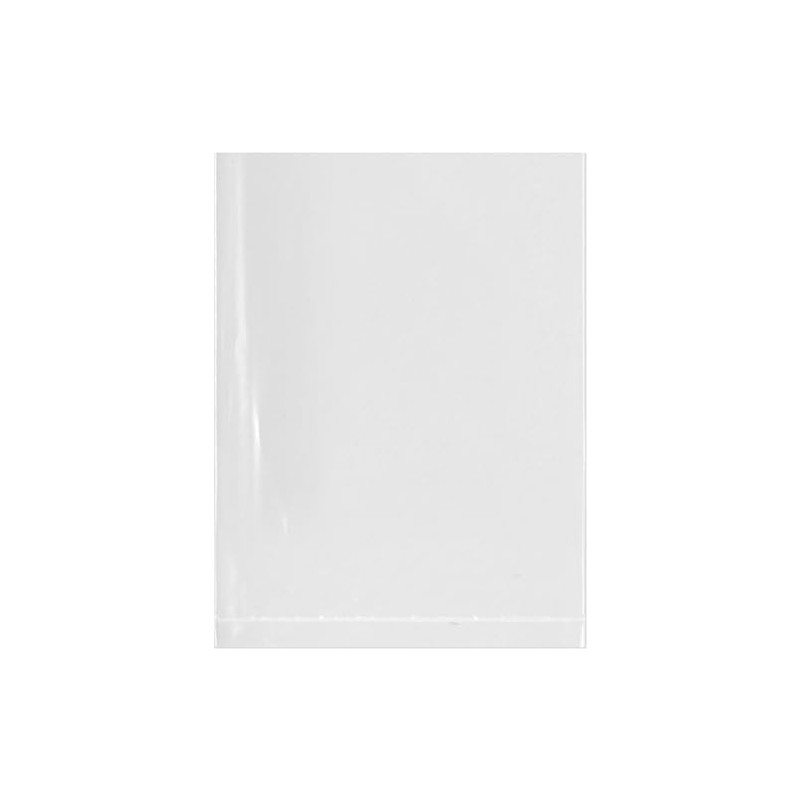 Plymor 3" x 4" (Pack of 100), 2 Mil Flat